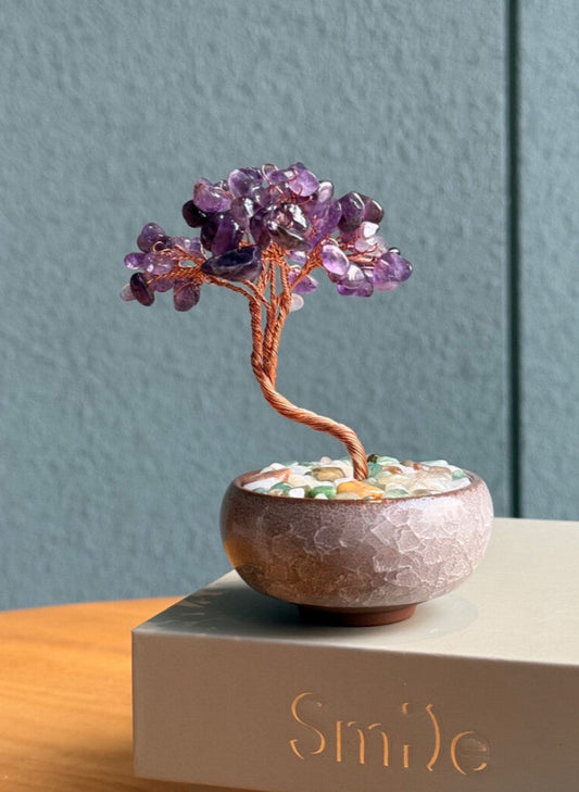 5Nine Purple Money Tree: Eternal Abundance Meets Luxurious Elegance